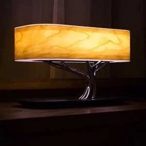 Wireless charging speaker, ambient light